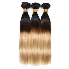 Brown Ombre Straight Hair Bundles 2/3 Tones Hair Bundle 1B 4 27 30 99J  Malaysian