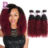 Image of Racily Hair 1B/Burgundy Ombre Brazilian Kinky Curly Bundles Remy Weave Human Hair Extensions 99J Red 1/3/4 Bundles Free Shipping